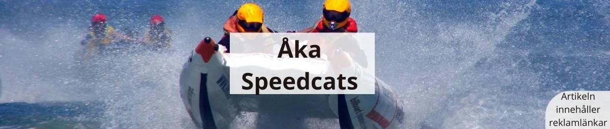 Åka speedcats i Stockholm