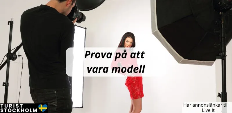 modell för en dag