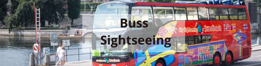 Buss sightseeing via getyourguide