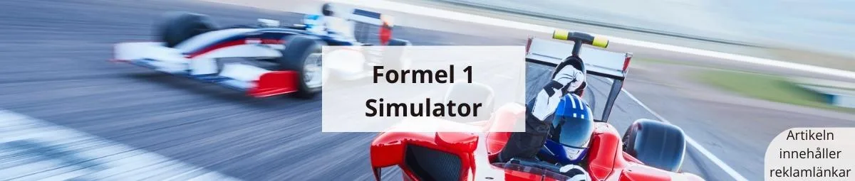 Prova på att köra formel 1 simulator