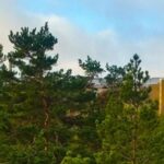 Sju otippade besöksmål på Kvarnholmen i Nacka