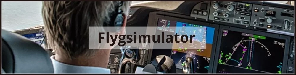 flygsimulator i Stockholm - kopia