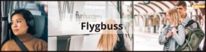 flygbuss