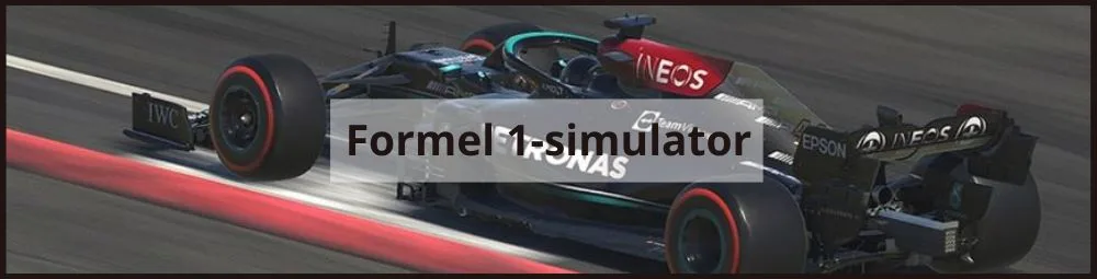 formel 1 simulator