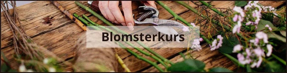 blomsterkurs