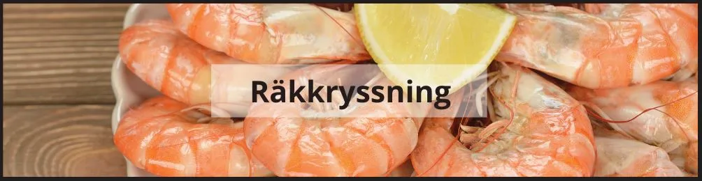 räkkryssning i stockholm