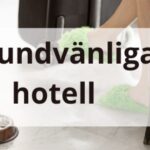 Bo med hund på hotell i Stockholm