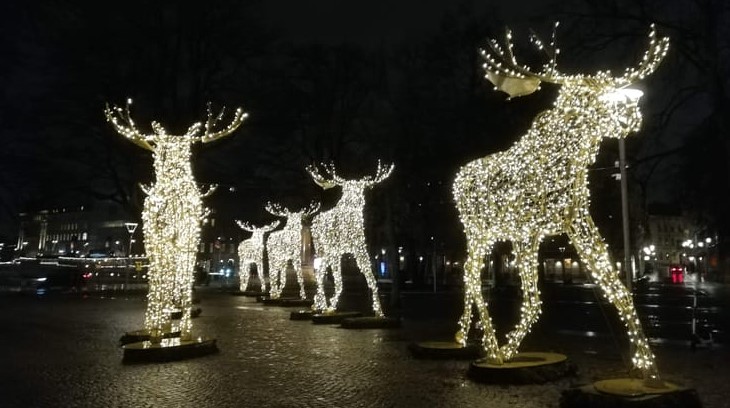 Julbelysning i kungsträdgården