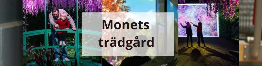 monets trädgård