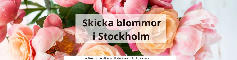 sicka blommor i stockholm