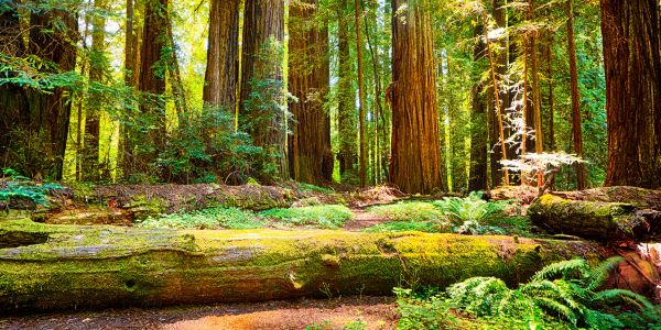 Nationalpark