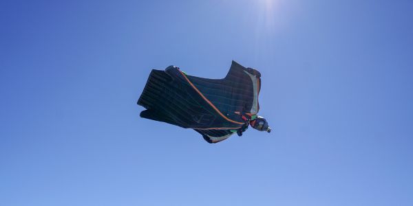 wingsuite
